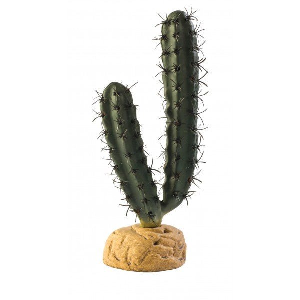 Finger Cactus (20cm high) - Jurassic Jungle