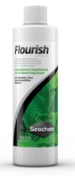 Flourish 100ml - Jurassic Jungle