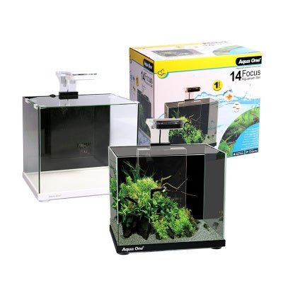 Focus Black 14L Glass Aquarium