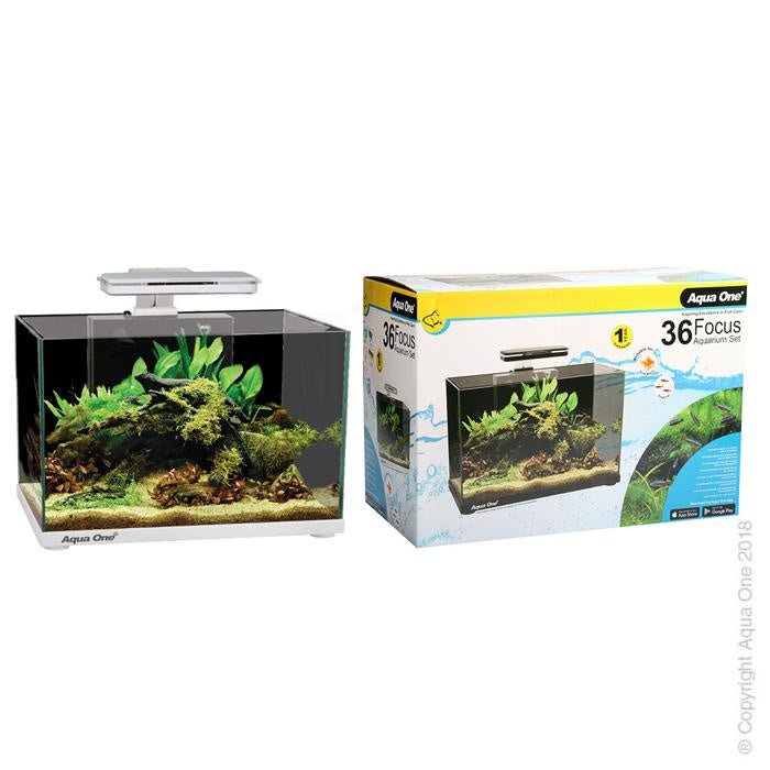 Focus Black 36L Glass Aquarium - Jurassic Jungle