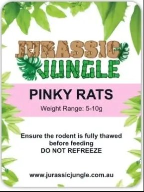 Frozen Rats (Individual) - Jurassic Jungle