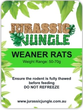 Frozen Rats (Individual) - Jurassic Jungle
