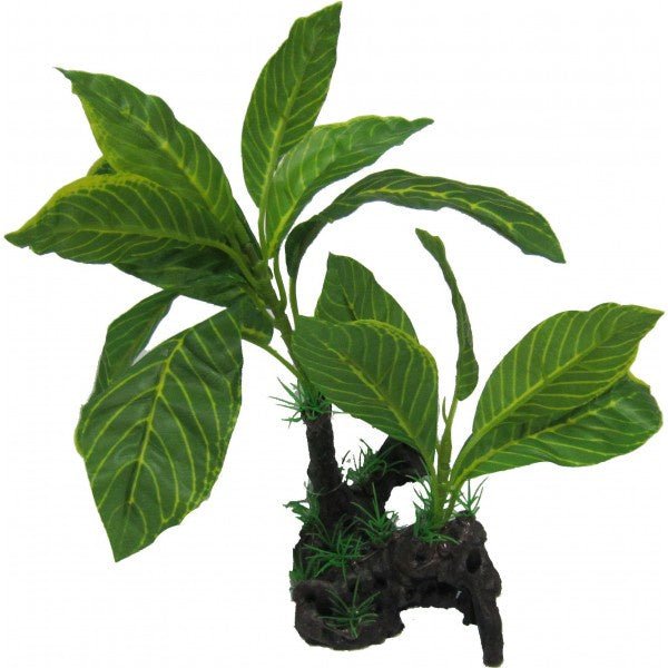 Giant Lemon Tree 28cm - Jurassic Jungle