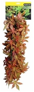 Hanging Sativia Red 70cm - Jurassic Jungle