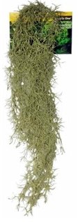 Hanging Spanish Moss Grey 70cm - Jurassic Jungle