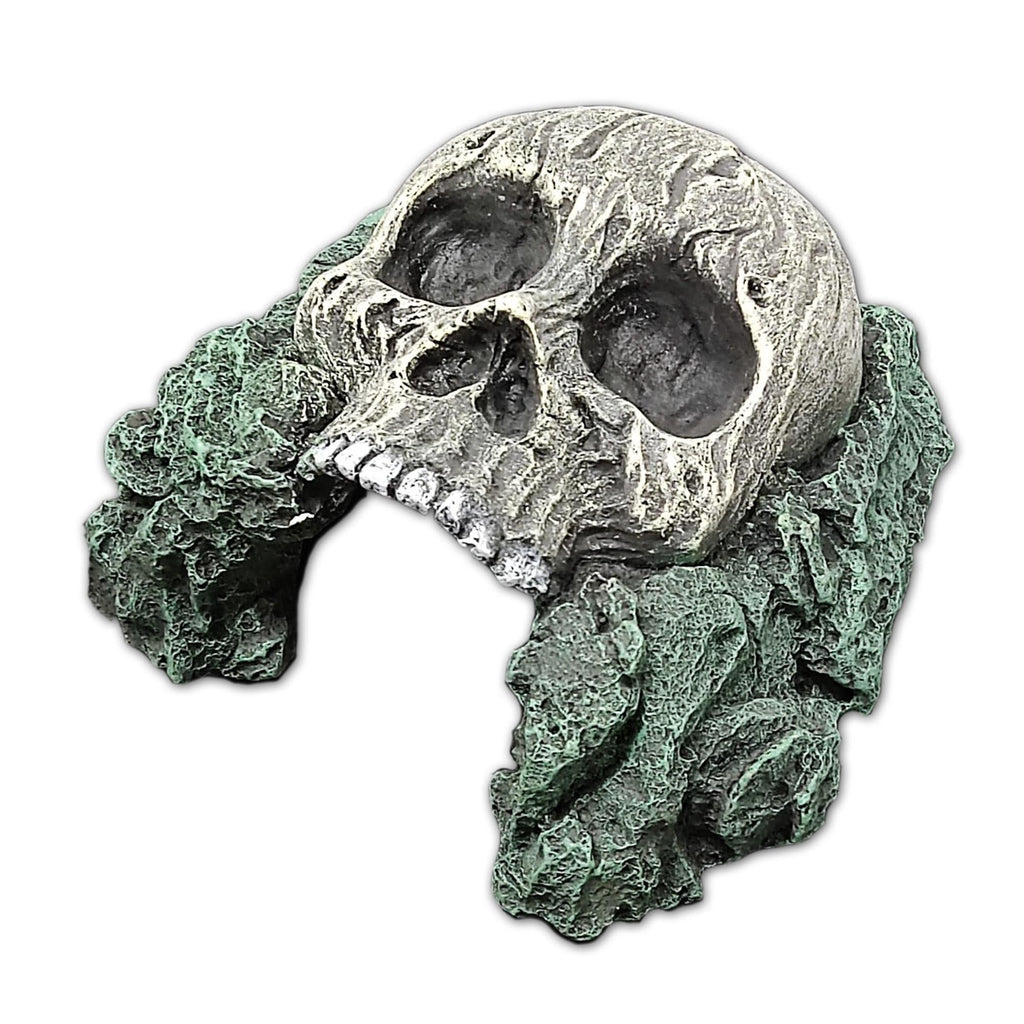 Human Skull Hide 15.5x16.8x8.5cm - Jurassic Jungle