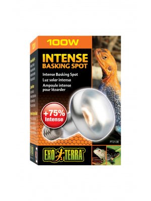 Intense Basking Spot Lamp 100w