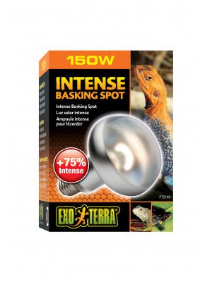 Intense Basking Spot Lamp 150w - Jurassic Jungle