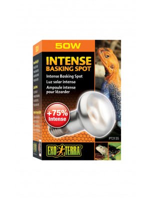 Intense Basking Spot Lamp 50w