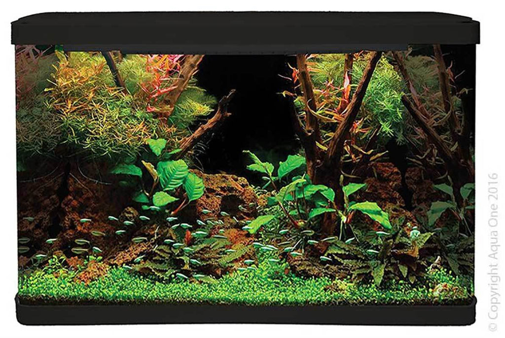 Lifestyle Complete Glass Aquarium 127L - Jurassic Jungle