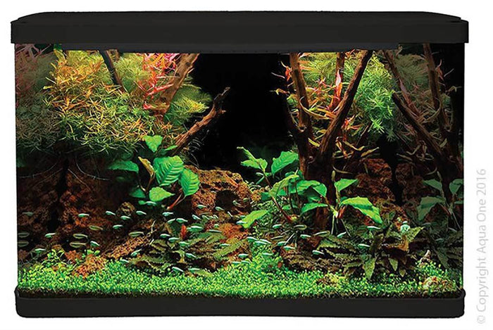 Lifestyle Complete Glass Aquarium 127L