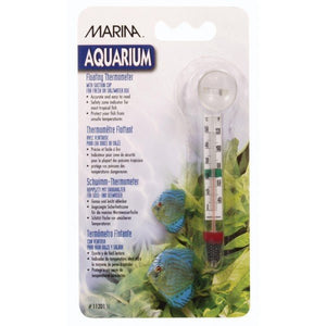 Marina Glass Thermometer with Suction (floating) - Jurassic Jungle