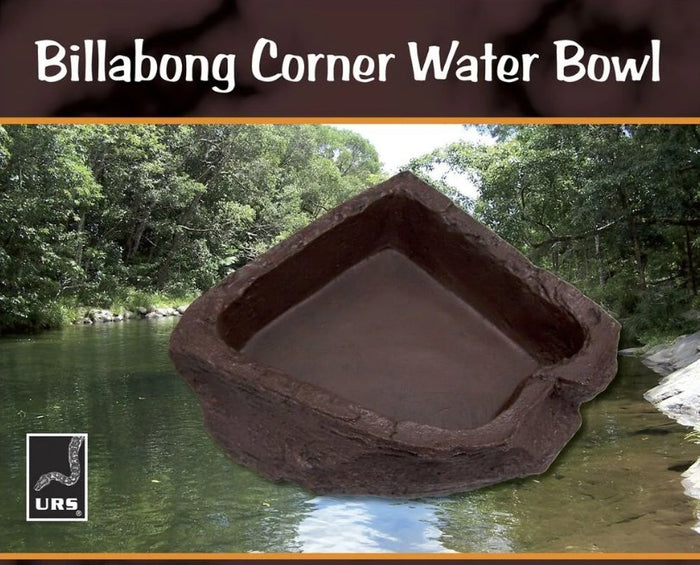 Medium Billabong Corner Bowl Brown