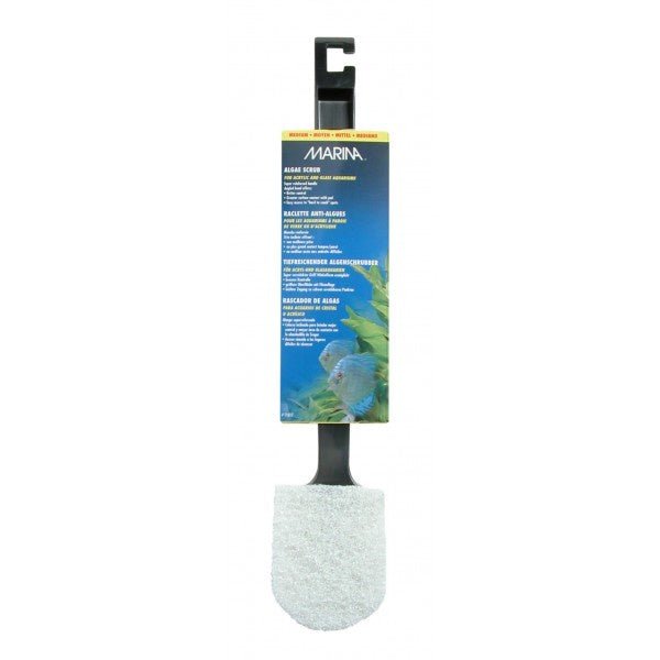 Mini Reach Algae Scrub - Jurassic Jungle