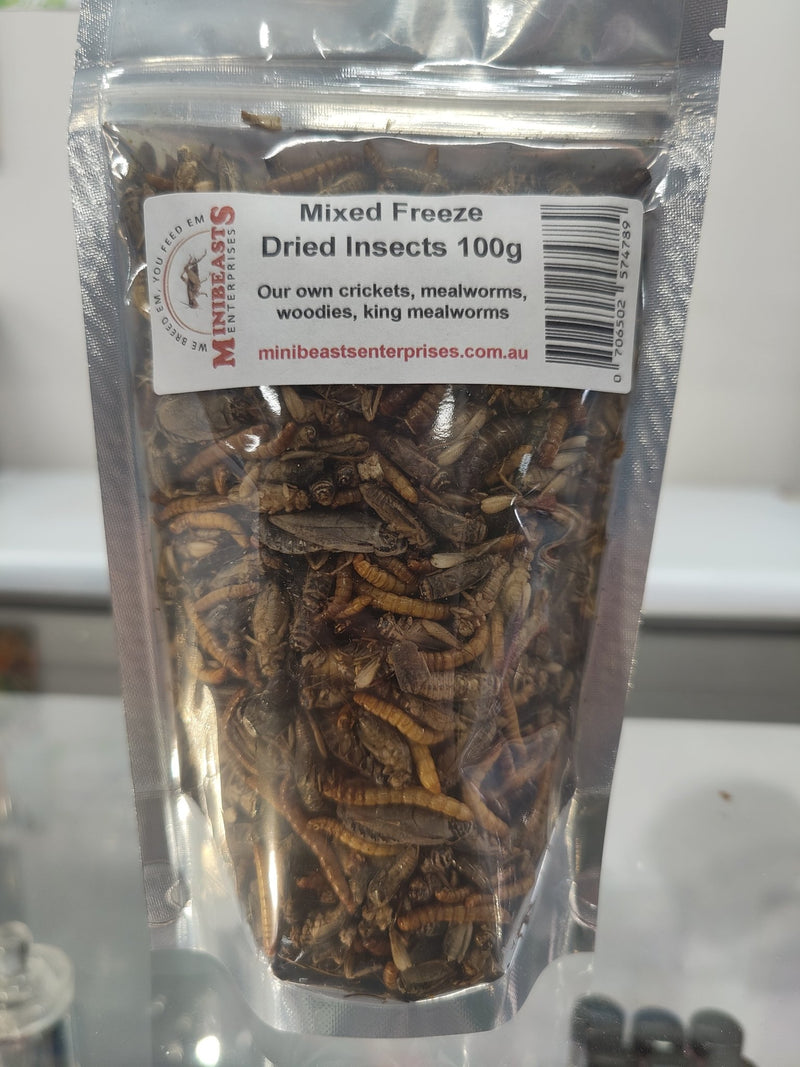 Mixed freeze dried insects 100g – Jurassic Jungle