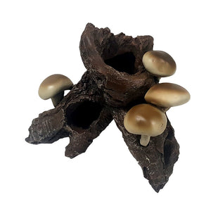 Mushroom on Driftwood - Jurassic Jungle