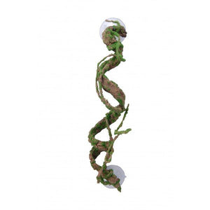 Nature Vine Corkscrew Vine with Moss - 30cm - Jurassic Jungle