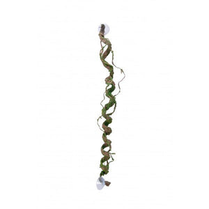 Nature Vine Giant Corkscrew with Scaley Bark - 60cm - Jurassic Jungle