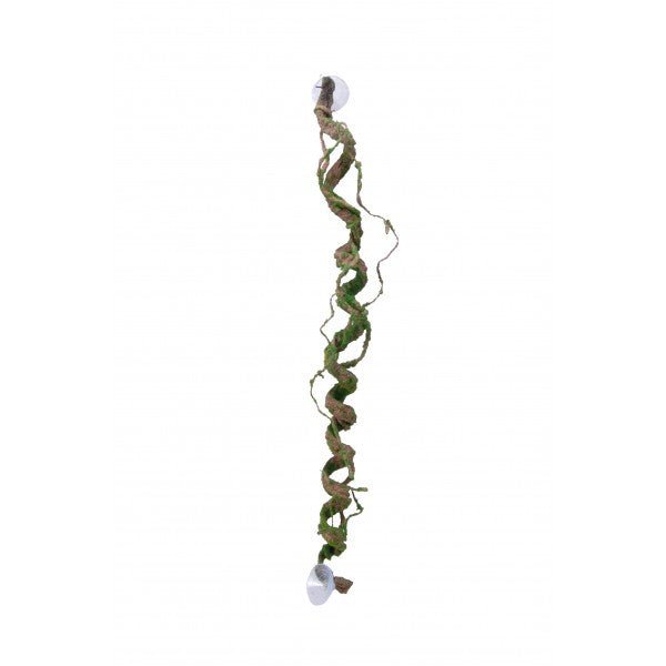 Nature Vine Giant Corkscrew with Scaley Bark - 60cm