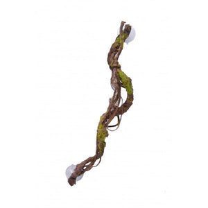 Nature Vine Multiple Vines with Moss & Ficus Growths - 65cm - Jurassic Jungle