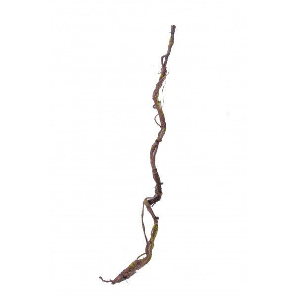 Nature Vine with Moss and Hair Growth - 60cm