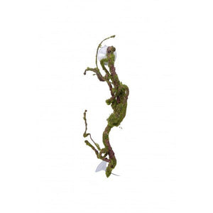 Nature Vine with Moss Lichen & Ferns 45cm - Jurassic Jungle
