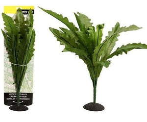 Nidus Fern 50cm - Jurassic Jungle