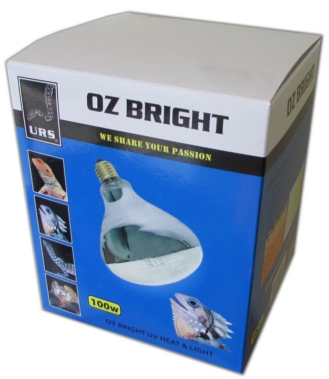 Oz bright Globe 100watt