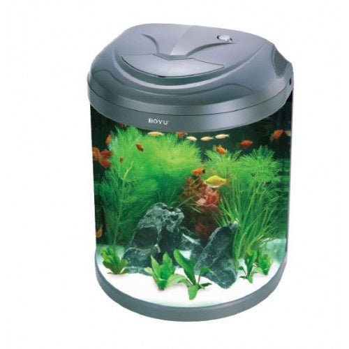 Petworx Half Moon Tank 26L - Jurassic Jungle