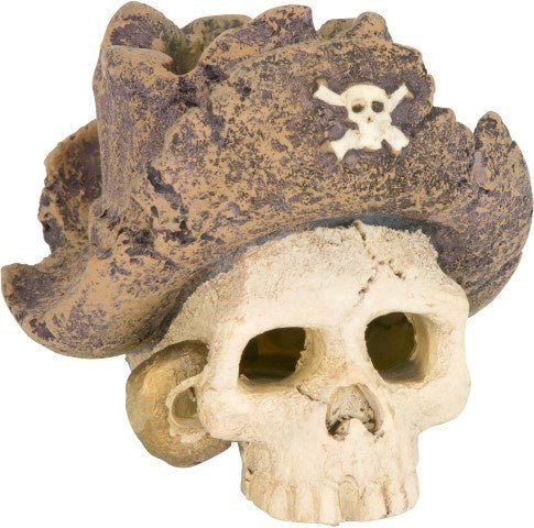 Pirate Skull - Jurassic Jungle