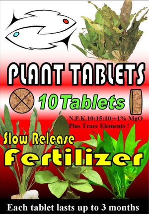 Plant Fertiliser Tablets - Jurassic Jungle