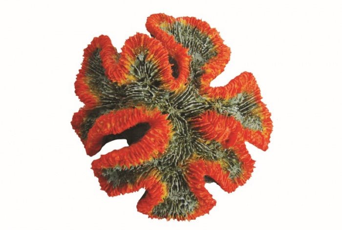 Red Coral 17x16x7cm