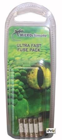 Replacement 5amp Fuse Pack - Jurassic Jungle