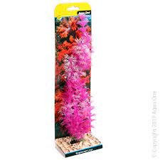 Reptile Aquarium Plant - Brightscape Large 12inch Ambulia Pink - Jurassic Jungle