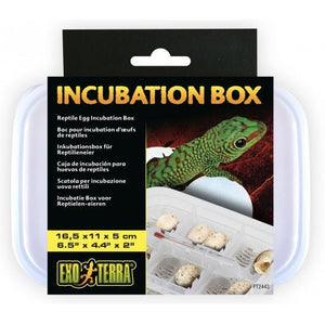 Reptile Incubation Tub - Jurassic Jungle