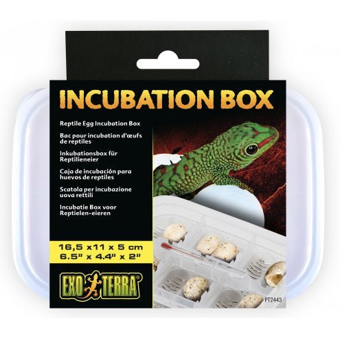 Reptile Incubation Tub