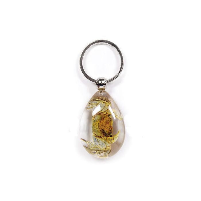 Resin Crab - Glow in the Dark Real Crab Key Ring – Jurassic Jungle