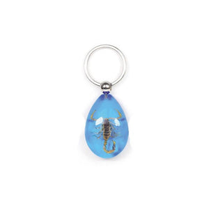 Resin Scorpion - Desert Scorpion on a Blue Background - Jurassic Jungle