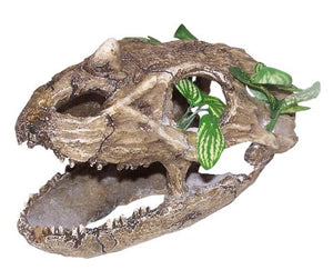 Skull With Small Teeth - Large - Jurassic Jungle
