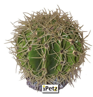 Spikey Ball Cactus - Jurassic Jungle