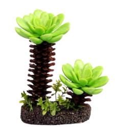 Succulent Tree with Sand Base Medium - Jurassic Jungle