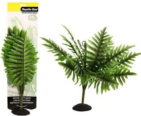 Sword Fern 40cm - Jurassic Jungle