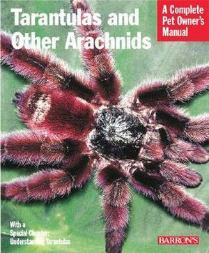 Tarantulas and other Arachnids - Jurassic Jungle