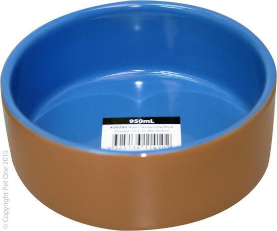 Terracotta Blue Bowl 15.2cm - Jurassic Jungle