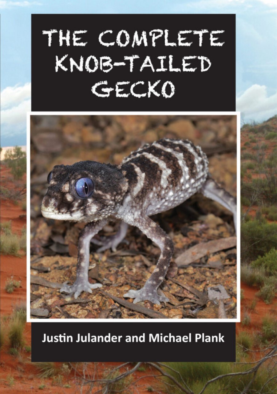 The Complete Knob-Tailed Gecko - Jurassic Jungle