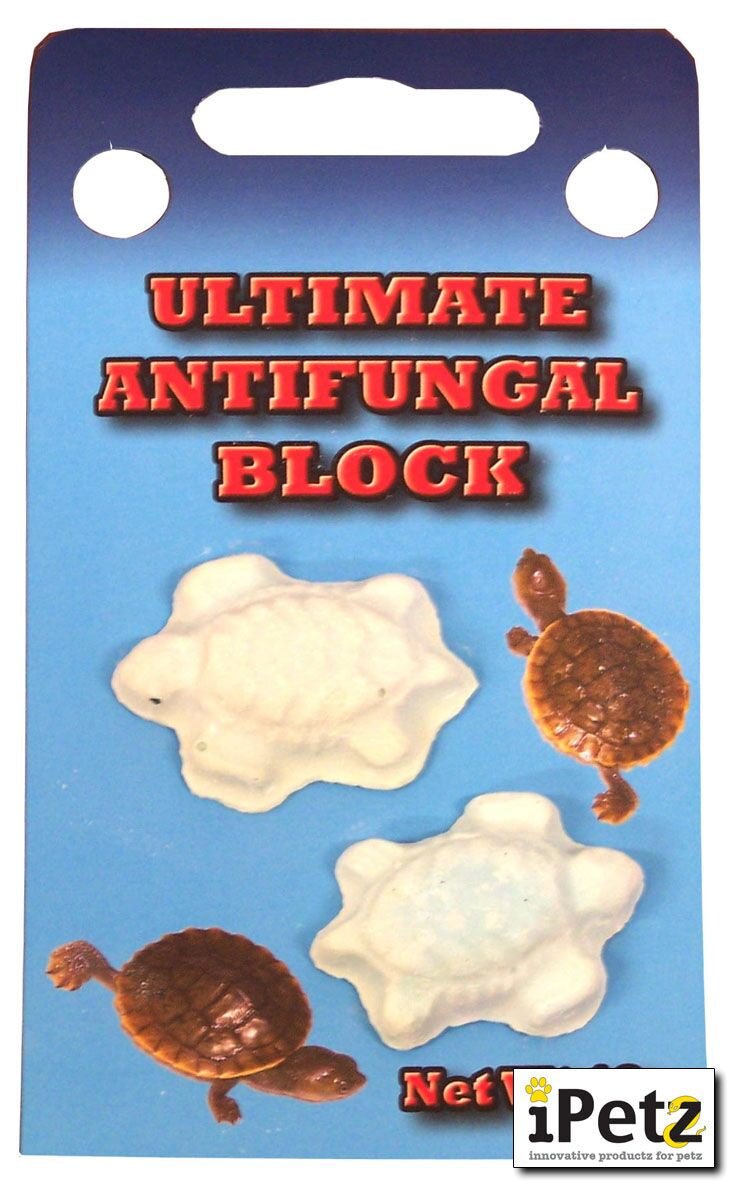 Turtle Antifungal Block - Jurassic Jungle