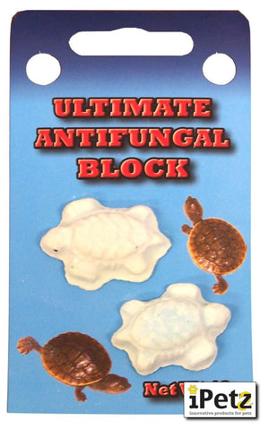 Turtle Antifungal Block - Jurassic Jungle
