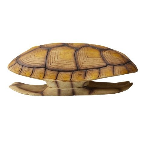 Turtle Shell 22.5x12x9cm